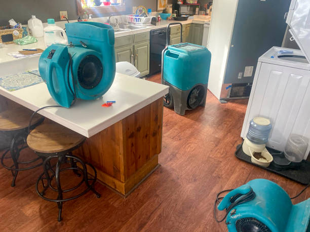 Best 24/7 water damage repair  in Mion, AR