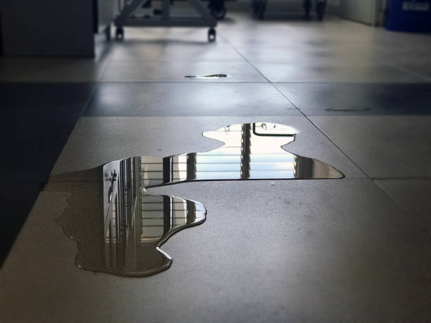 Best Water damage restoration near me  in Mion, AR