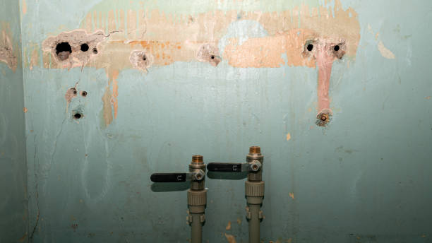 Best Flood damage cleanup  in Mion, AR