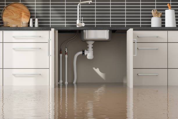 Water damage restoration mold remediation in AR