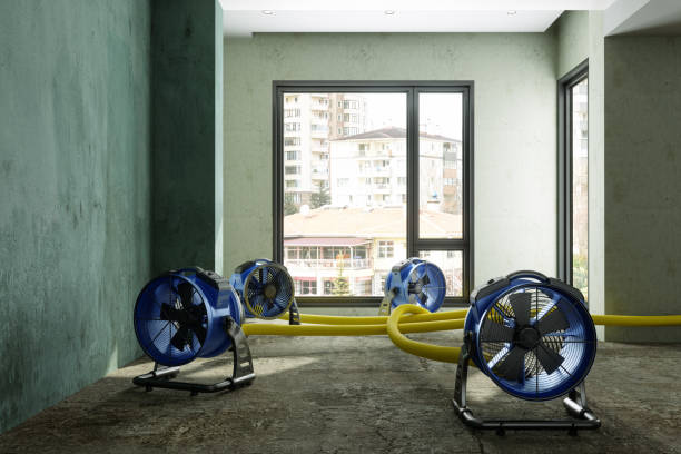 Best Emergency water damage restoration  in Mion, AR