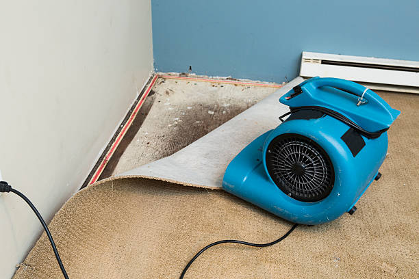 Best Sewage cleanup and water damage restoration  in Mion, AR
